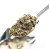 Dilmah Moroccan Mint Green 100g Tea Leaf - The Ceylon Mart